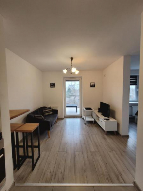 Apartament nad jeziorem